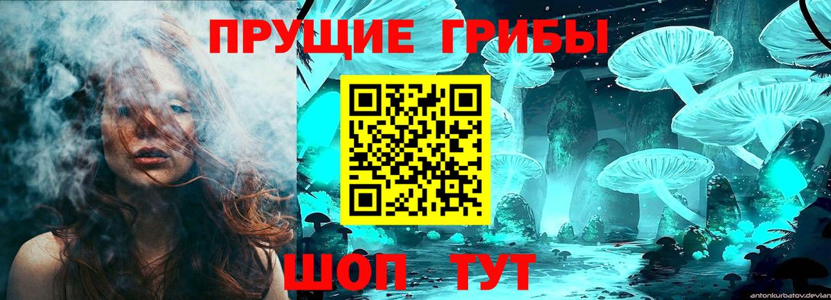 Псилоцибиновые грибы мухоморы Александров