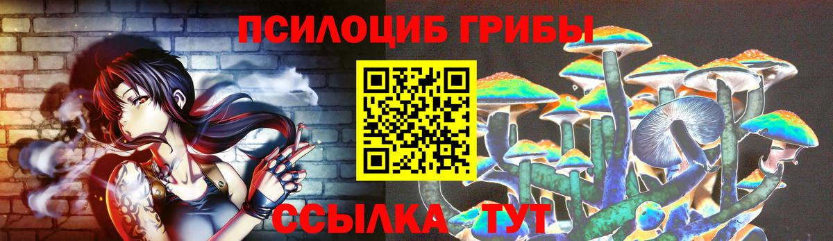 Галлюциногенные грибы Magic Shrooms  Галлюциногенные грибы мицелий  Александров  Вход с VPN 