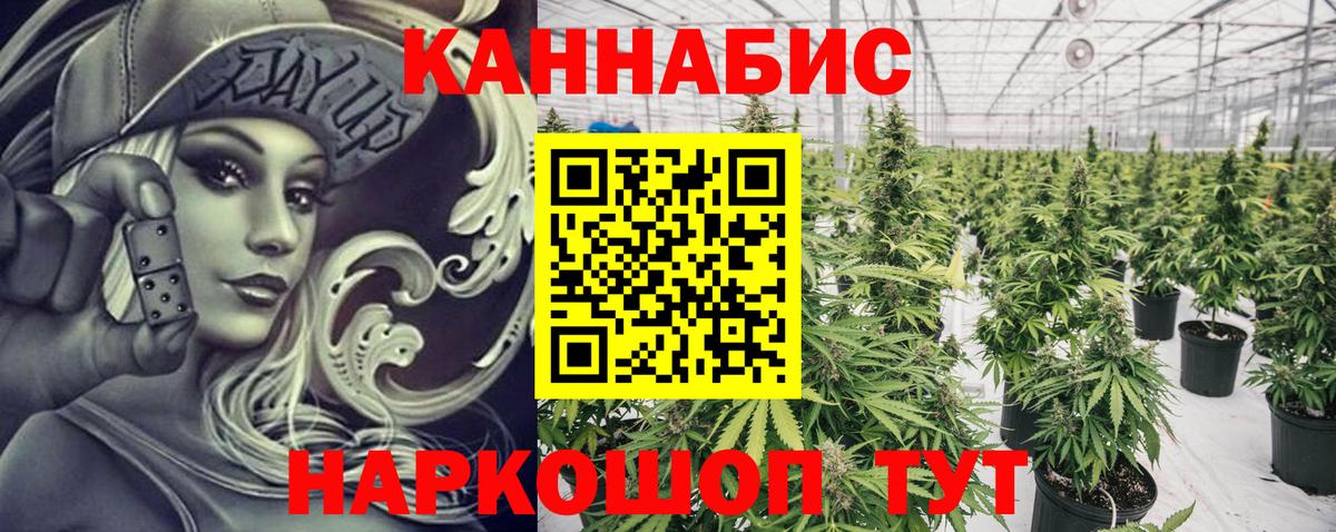 Марихуана семена  Вход с VPN  Александров  Бошки Шишки Ganja  Бошки марихуана конопля  Каннабис марихуана 